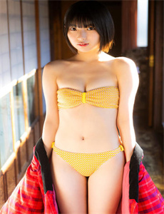 狂野动物王国